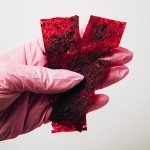 Пастилапка з буряком та легенями — 2