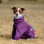Мембранний дощовик фіолетово - блакитний — 3