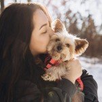 Підвішений смаколик для собак — 3