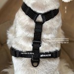 Анатомічна шлея Чорна — 5